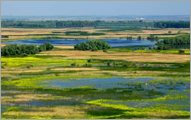 Donaudelta