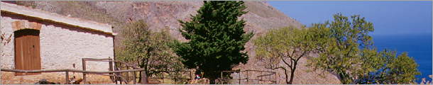 Abenteuerreisen & Safaris