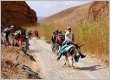 Mit dem Mountainbike durch den Hohen Atlas