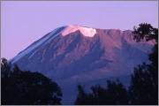 Kilimanjaro